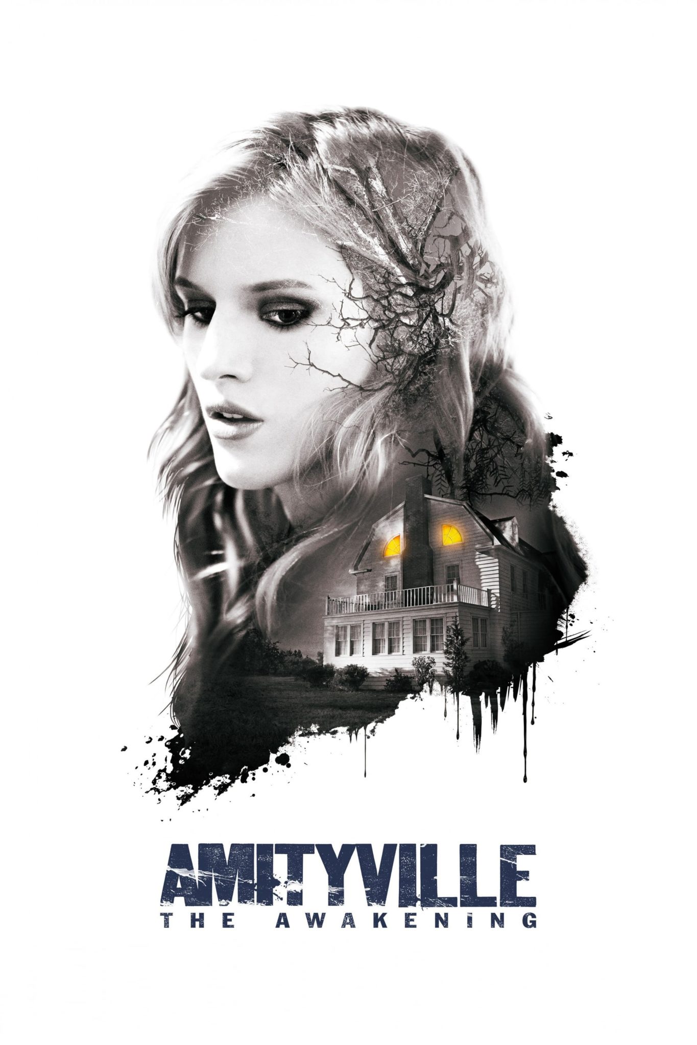 Amityville: The Awakening 2017 Dual Audio Hindi-English 480p 720p 1080p