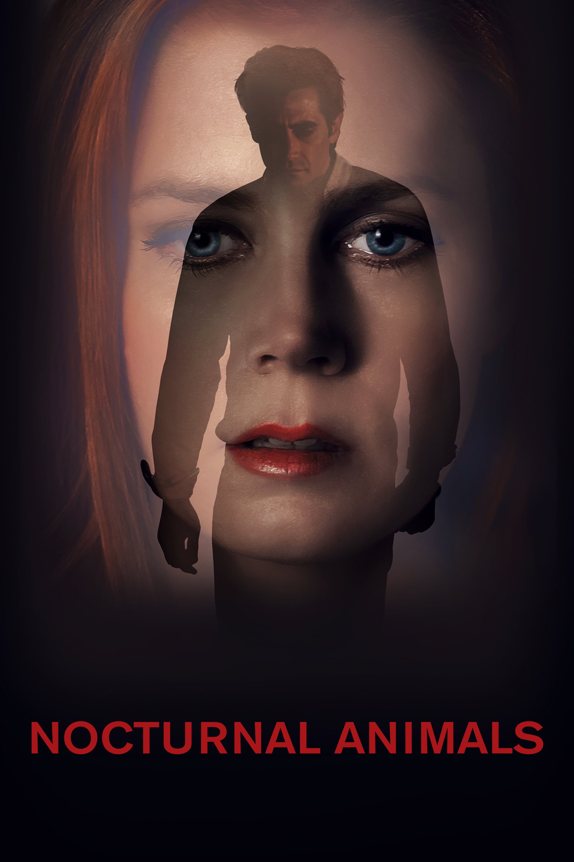 Nocturnal Animals 2016 Dual Audio Hindi-English 480p 720p 1080p