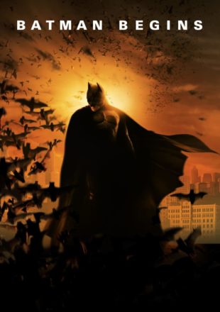 Batman Begins 2005 Dual Audio Hindi-English 480p 720p 1080p Bluray