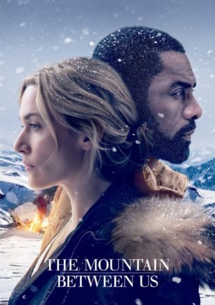 The Mountain Between Us 2017 Dual Audio Hindi-English 480p 720p