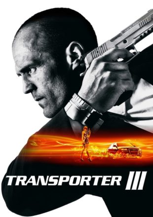 Transporter 3 2008 Dual Audio Hindi-English 480p 720p Bluray Gdrive Link