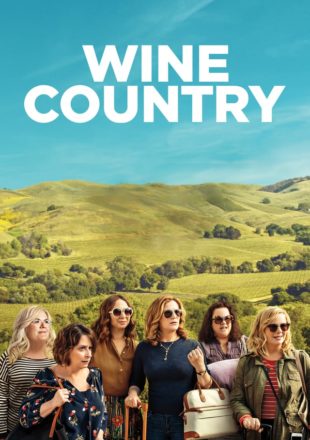 Wine Country 2019 Dual Audio Hindi Esub 480p [391MB] 720p [1.04GB]