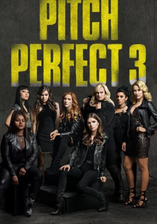 Pitch Perfect 3 2017 Hindi Dubbed Dual Audio Full Movie Google Drive