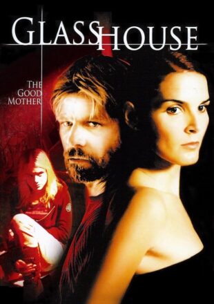 Glass House: The Good Mother (2006) Hindi Dubbed Dual Audio Gdrive