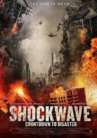 Shockwave: Countdown to Disaster 2018 Hindi Dubbed Dual Audio