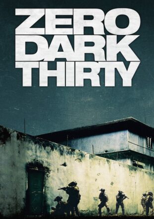 Zero Dark Thirty (2012) Hindi Dubbed Dual Audio Full Movie Google Drive