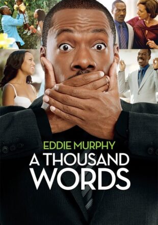 A Thousand Words 2012 Dual Audio Hindi-English 480p 720p Bluray