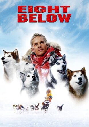 Eight Below 2006 Dual Audio Hindi-English 480p 720p Bluray Gdrive Link