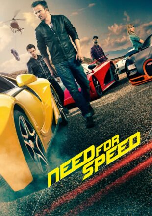 Need for Speed 2014 Dual Audio Hindi-English 480p 720p Bluray Gdrive