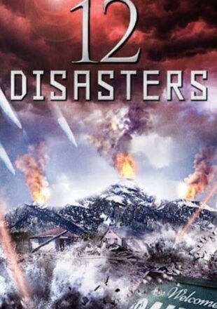 The 12 Disasters of Christmas 2012 Dual Audio Hindi-English 480p 720p