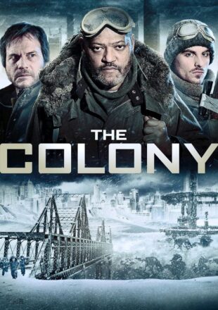 The Colony 2013 Dual Audio Hindi-English 480p 720p 1080p Bluray