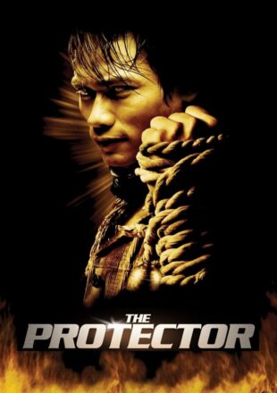 The Protector 2005 Dual Audio Hindi-English 480p 720p Bluray Gdrive Link