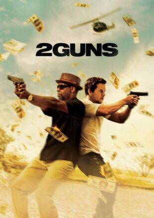 2 Guns 2013 Dual Audio Hindi-English 480p 720p 1080p Gdrive Link