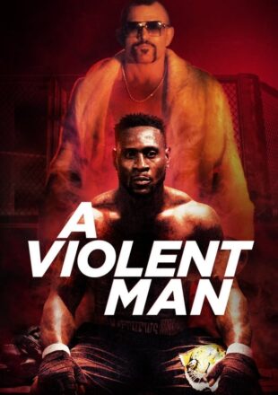 A Violent Man 2017 Dual Audio Hindi-English 480p 720p Gdrive Link