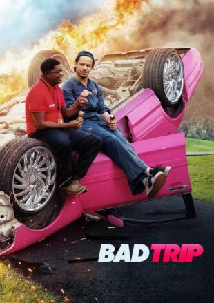 Bad Trip 2020 Dual Audio Hindi-English 480p 720p 1080p Gdrive Link