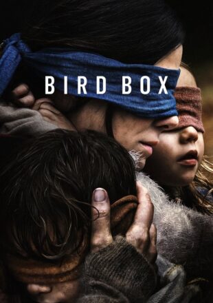 Bird Box 2018 Dual Audio Hindi-English 480p 720p 1080p Gdrive Link