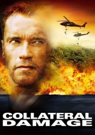 Collateral Damage 2002 Dual Audio Hindi-English 480p 720p 1080p Bluray