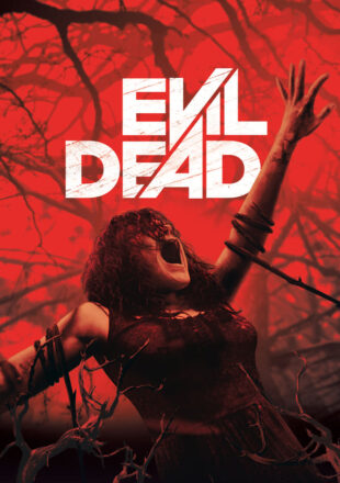 Evil Dead 2013 Dual Audio Hindi-English 480p 720p 1080p Gdrive Link