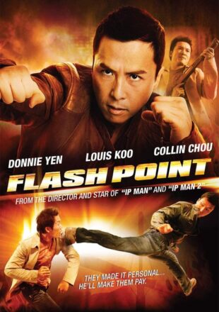 Flash Point 2007 Dual Audio Hindi-English 480p 720p Bluray Gdrive Link