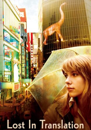 Lost in Translation 2003 Dual Audio Hindi-English 480p 720p Gdrive Link