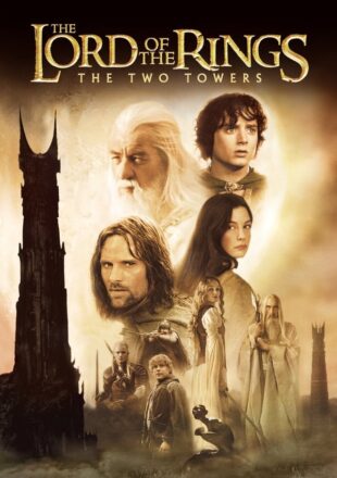 The Lord of the Rings: The Two Towers 2002 Dual Audio Hindi-English