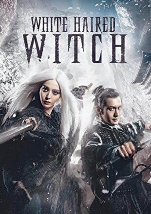 The White Haired Witch of Lunar Kingdom 2014 Dual Audio Hindi-English