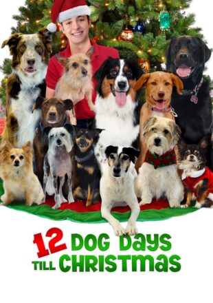 12 Dog Days Till Christmas 2014 Dual Audio Hindi-English 480p 720p