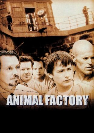 Animal Factory 2000 Dual Audio Hindi-English 480p 720p Gdrive Link