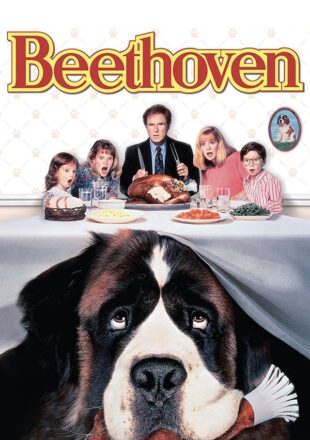 Beethoven 1992 Dual Audio Hindi-English 480p 720p 1080p Gdrive Link