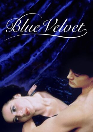 Blue Velvet 1986 Dual Audio Hindi-English 480p 720p 1080p Gdrive Link