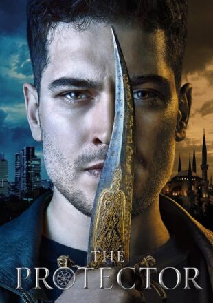 The Protector Season 1-4 Dual Audio Hindi-English 480p 720p 1080p