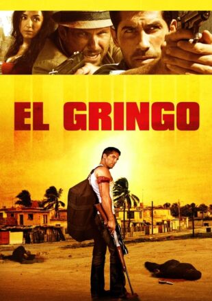 El Gringo 2012 Dual Audio Hindi-English 480p 720p Bluray Gdrive Link