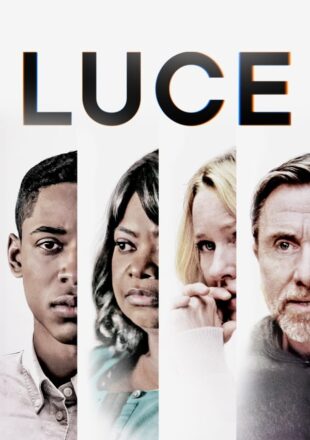 Luce 2019 Dual Audio Hindi-English 480p 720p 1080p Bluray Gdrive Link