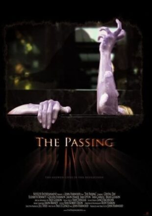 The Passing 2011 Dual Audio Hindi-English 480p 720p Gdrive Link