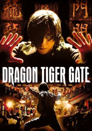 Dragon Tiger Gate 2006 Dual Audio Hindi-Chinese 480p 720p 1080p