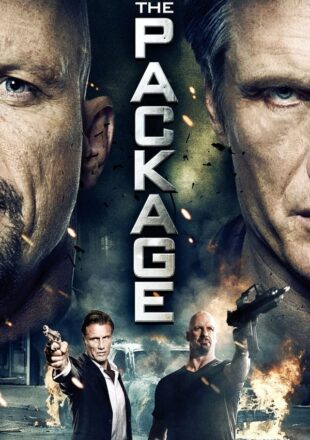 The Package 2013 Dual Audio Hindi-English 480p 720p 1080p