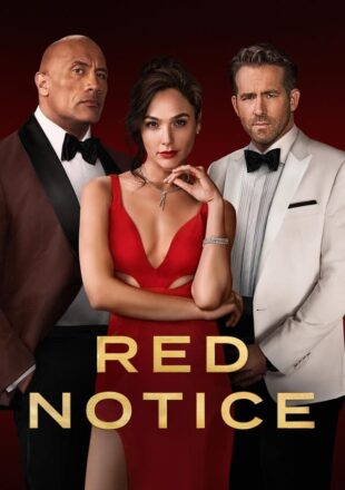 Red Notice 2021 Dual Audio Hindi-English 480p 720p 1080p 4K Bluray