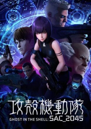 Ghost in the Shell SAC_2045 Season 1-2 Dual Audio Hindi-English