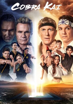 Cobra Kai Season 1-6 Dual Audio Hindi-English 480p 720p 1080p