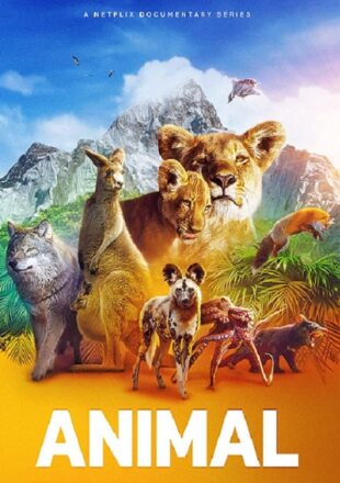 Animal Season 1 Dual Audio Hindi-English 480p 720p 1080p