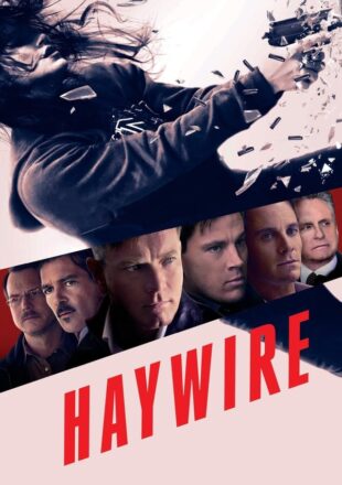 Haywire 2011 Dual Audio Hindi-English 480p 720p Bluray