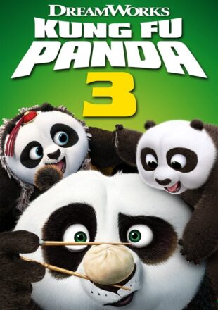 Kung Fu Panda 3 2016 Dual Audio Hindi-English 480p 720p 1080p