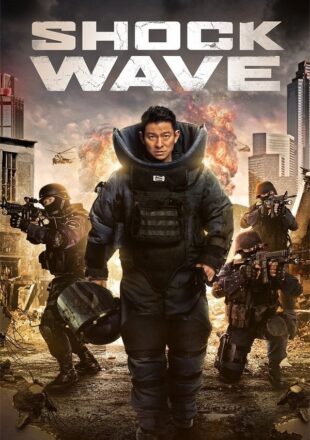 Shock Wave 2017 Dual Audio Hindi-English 480p 720p Bluray