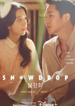 Snowdrop Season 1 Dual Audio Hindi-Korean 480p 720p 1080p