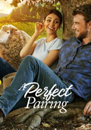 A Perfect Pairing 2022 Dual Audio Hindi-English 480p 720p 1080p