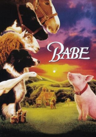 Babe 1995 Dual Audio Hindi-English 480p 720p 1080p