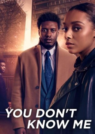 You Don’t Know Me Season 1 Dual Audio Hindi English All Episode