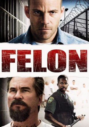 Felon 2008 Dual Audio Hindi-English 480p 720p 1080p