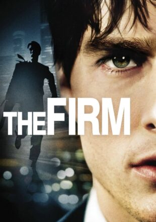 The Firm 1993 Dual Audio Hindi-English 480p 720p 1080p