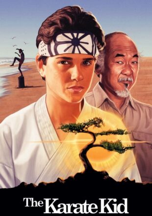 The Karate Kid 1984 Dual Audio Hindi-English 480p 720p 1080p